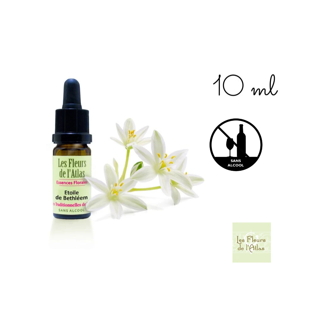 Star of Bethlehem Fleurs de l'Atlas 10 ml (Étoile de Bethléem) Fleurs de l'Atlas - Sans alcool 1 - mesfleursdebach.com Star of Bethlehem Fleurs de l'Atlas 10 ml (Étoile de Bethléem) Fleurs de l'Atlas - Sans alcool 1 - mesfleursdebach.com