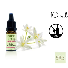 Star of Bethlehem Fleurs de l'Atlas 10 ml (Étoile de Bethléem) Fleurs de l'Atlas - Sans alcool 1 - mesfleursdebach.com 