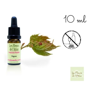 Vine Fleurs de l'Atlas 10 ml (Vigne) Les Fleurs de l'Atlas 1 - mesfleursdebach.com 