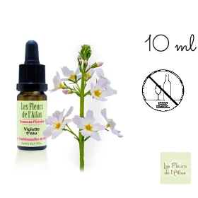 Water Violet Fleurs de l'Atlas 10 ml (Violette d'Eau ou Hottonie des marais) Les Fleurs de l'Atlas 1 - mesfleursdebach.com 