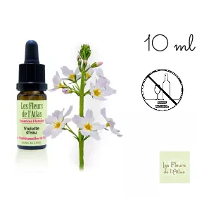 Water Violet Fleurs de l'Atlas 10 ml (Violette d'Eau ou Hottonie des marais) Les Fleurs de l'Atlas 1 - mesfleursdebach.com 