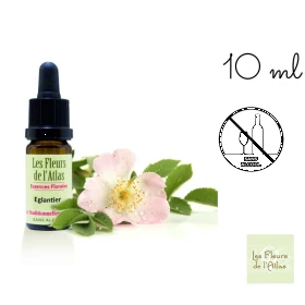 Wild Rose Fleurs de l'Atlas 10 ml (Églantine) Les Fleurs de l'Atlas 1 - mesfleursdebach.com 