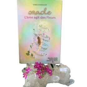 Oracle - L'âme agit des Fleurs - Valérie Ruffié [product.brand] 4 - mesfleursdebach.com 