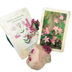 Oracle - L'âme agit des Fleurs - Valérie Ruffié [product.brand] 5 - mesfleursdebach.com 