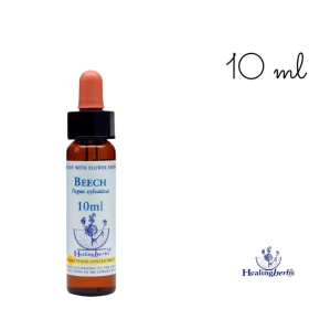 Beech Healing Herbs 10 ml (Hêtre) Healing Herbs 1 - mesfleursdebach.com 