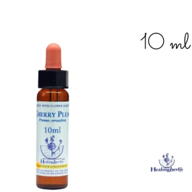 Cherry Plum Healing Herbs 10 ml (Prunier Myrobolan) Healing Herbs 1 - mesfleursdebach.com 