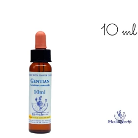 Gentian Healing Herbs 10 ml (Gentiane) Healing Herbs 1 - mesfleursdebach.com 