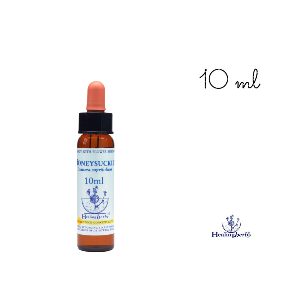 Honeysuckle Healing Herbs 10 ml (Chèvrefeuille) Healing Herbs 1 - mesfleursdebach.com 