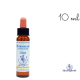 Hornbeam Healing Herbs 10 ml (Charme) Healing Herbs 1 - mesfleursdebach.com 