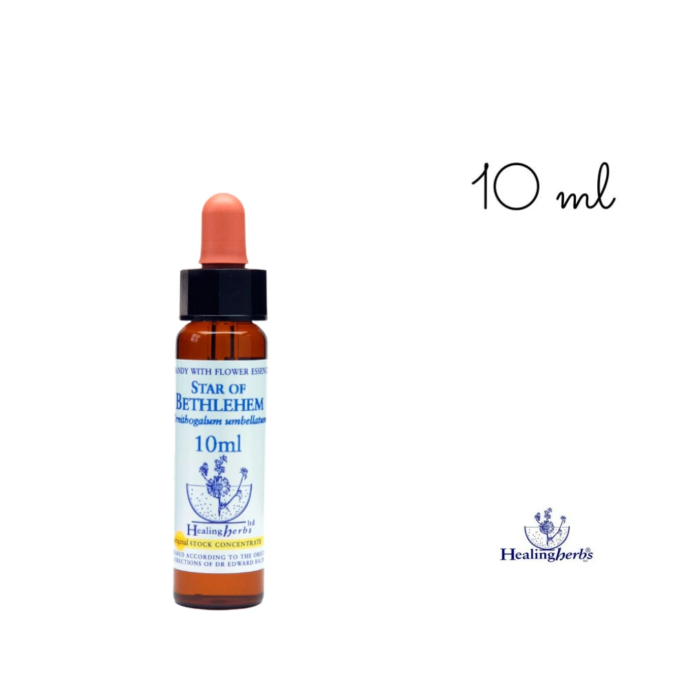 Star of Bethlehem Healing Herbs 10 ml (Étoile de Bethléem) Healing Herbs 1 - mesfleursdebach.com Star of Bethlehem Healing Herbs 10 ml (Étoile de Bethléem) Healing Herbs 1 - mesfleursdebach.com