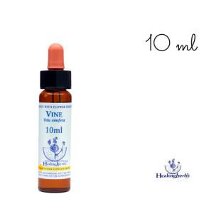 Vine Healing Herbs 10 ml (Vigne) Healing Herbs 1 - mesfleursdebach.com 