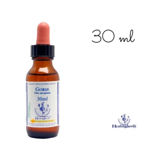 Gorse Healing Herbs 30 ml (Ajonc) Healing Herbs 1 - mesfleursdebach.com 