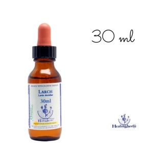 Larch Healing Herbs 30 ml (Mélèze) Healing Herbs 1 - mesfleursdebach.com 