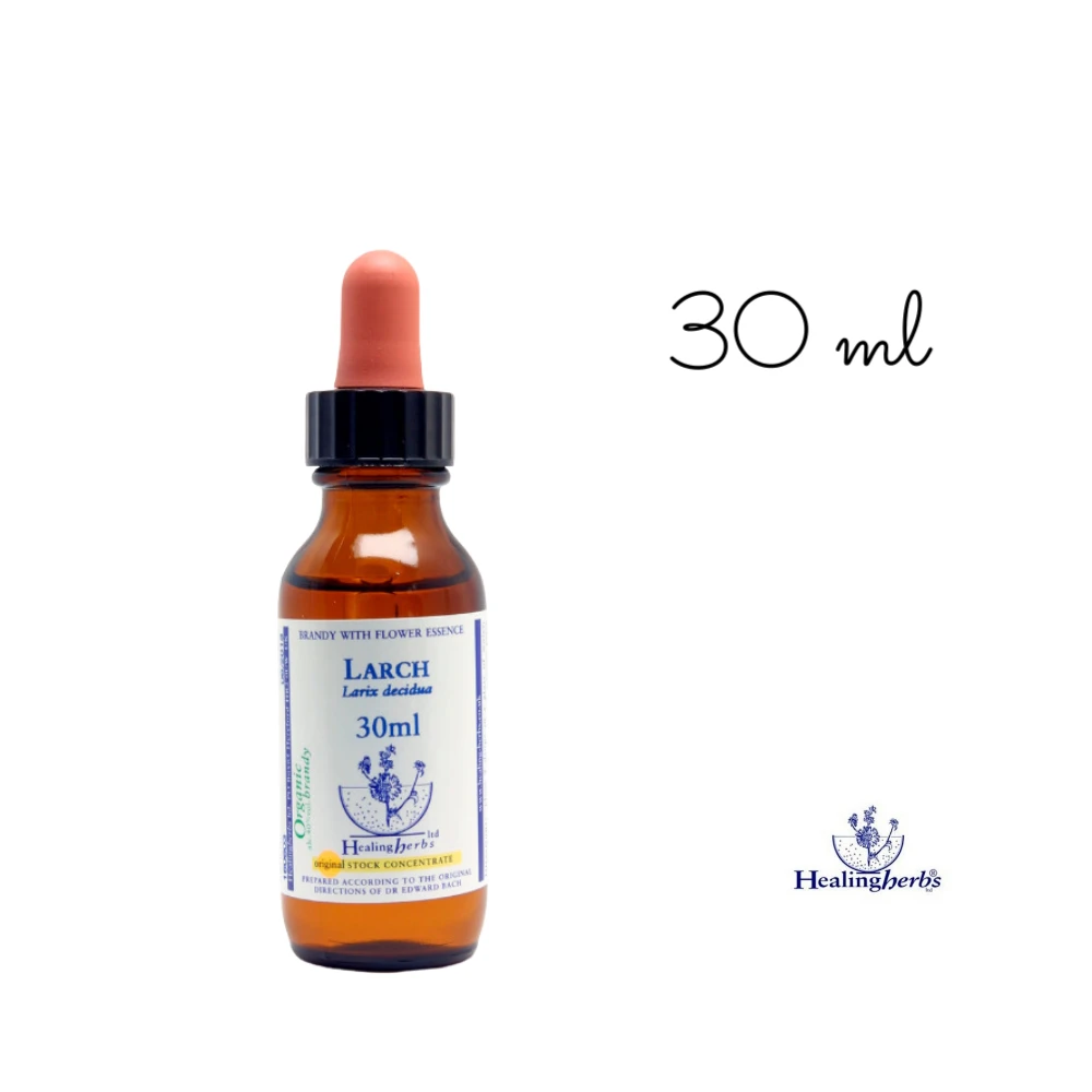Larch Healing Herbs 30 ml (Mélèze) Healing Herbs 1 - mesfleursdebach.com 