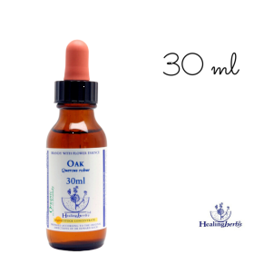 Oak Healing Herbs 30 ml (Chêne) Healing Herbs 1 - mesfleursdebach.com 