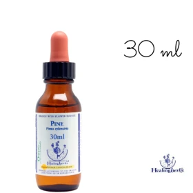 Pine Healing Herbs 30 ml (Pin Sylvestre) Healing Herbs 1 - mesfleursdebach.com 