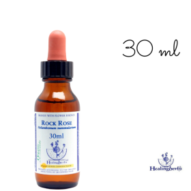 Rock Rose Healing Herbs 30 ml (Hélianthème) Healing Herbs 1 - mesfleursdebach.com 