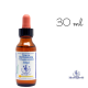 Star of Bethlehem Healing Herbs 30 ml (Étoile de Bethléem) Healing Herbs 1 - mesfleursdebach.com 