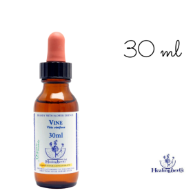 Vine Healing Herbs 30 ml (Vigne) Healing Herbs 1 - mesfleursdebach.com 