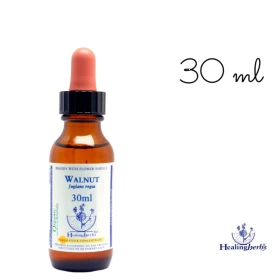 Walnut Healing Herbs 30 ml (Noyer) Healing Herbs 1 - mesfleursdebach.com 