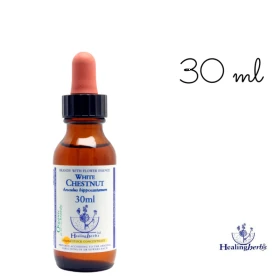 White Chestnut Healing Herbs 30 ml (Marronnier Blanc) Healing Herbs 1 - mesfleursdebach.com 