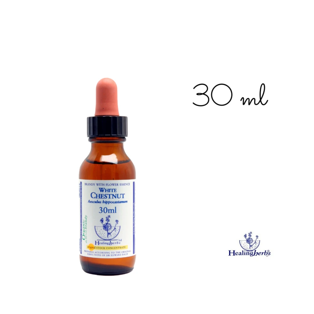 White Chestnut Healing Herbs 30 ml (Marronnier Blanc) Healing Herbs 1 - mesfleursdebach.com White Chestnut Healing Herbs 30 ml (Marronnier Blanc) Healing Herbs 1 - mesfleursdebach.com