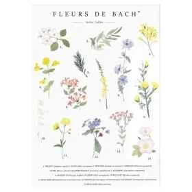 Carte postale aquarelle Fleurs de Bach - 16*11cm Mes Fleurs de BACH 1 - mesfleursdebach.com 