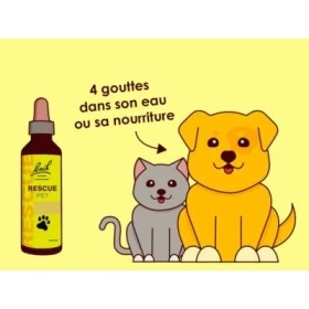 Bach - Rescue Pets Jour 10 ml (animaux) sans alcool compte-gouttes Bach Original Bach Original Nelsons 2 - mesfleursdebach.com 
