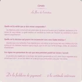 Grandes cartes des 38 fleurs de Bach Mechthild Scheffer 18*18cm Mes Fleurs de BACH 3 - mesfleursdebach.com 