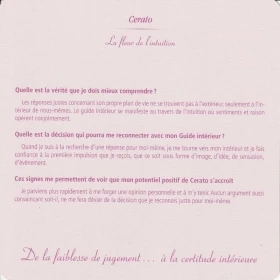 Grandes cartes des 38 fleurs de Bach Mechthild Scheffer 18*18cm Mes Fleurs de BACH 3 - mesfleursdebach.com 