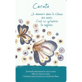 Coffret de 38 cartes Fleurs de Bach par Lucilla Satanassi - 14.5*9cm Mes Fleurs de BACH 5 - mesfleursdebach.com 