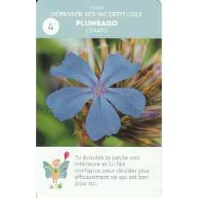 Cartes enfants Fleurs de Bach "Emotions en Fleurs et Papillon Lune" - 11*7cm Mes Fleurs de BACH 1 - mesfleursdebach.com 