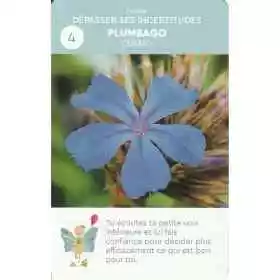 Cartes enfants Fleurs de Bach "Emotions en Fleurs et Papillon Lune" - 11*7cm Mes Fleurs de BACH 1 - mesfleursdebach.com 