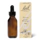 1 Flacon Bach Original compte-gouttes noir vide teinté 30 ml Bach Original Nelsons 1 - mesfleursdebach.com 