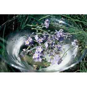 Coffret Bois 38 Fleurs de Bach Sans Alcool - Édition Noël - Fabrication artisanale française Fleurs de l'Atlas - Sans alcool 5 -