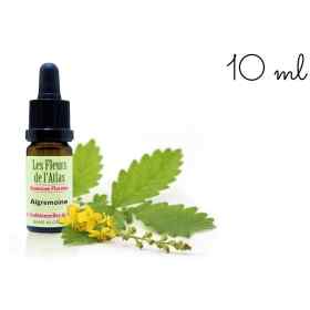 Coffret Bois 38 Fleurs de Bach Sans Alcool - Édition Noël - Fabrication artisanale française Fleurs de l'Atlas - Sans alcool 3 - Coffret Bois 38 Fleurs de Bach Sans Alcool - Édition Noël - Fabrication artisanale française Fleurs de l'Atlas - Sans alcool 3 -