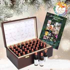 Pack Noël Coffret plein bois Acajou Healing Herbs 30 ml. Offerts: 1 livre, 1 flacon pour mélange vapospray 30ml Healing Herbs 1 