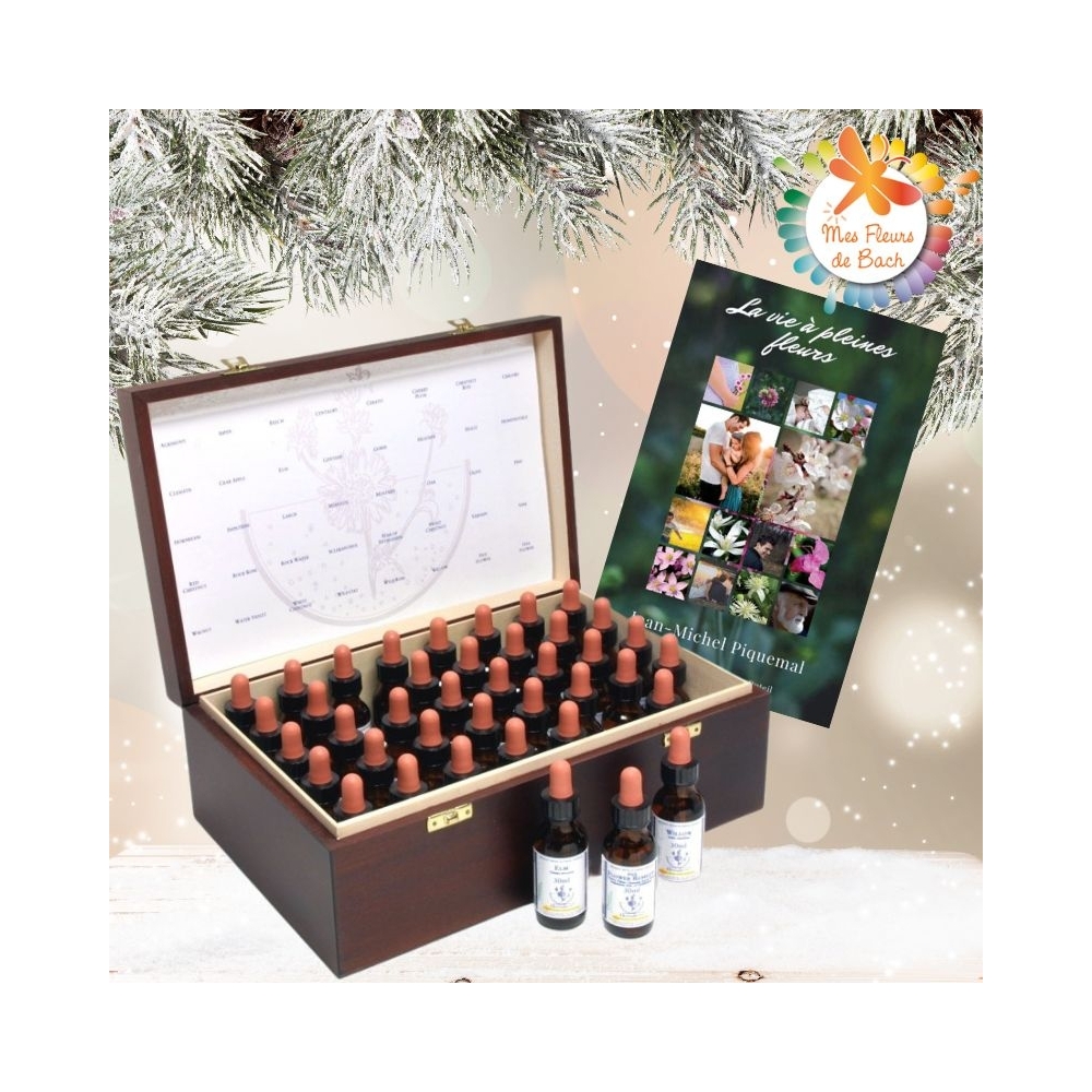 Pack Noël Coffret plein bois Acajou Healing Herbs 30 ml. Offerts: 1 livre, 1 flacon pour mélange vapospray 30ml Healing Herbs 1 