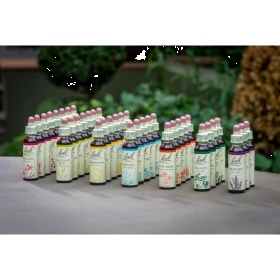 1 - Coffret de Noël 38 fleurs de Bach Original 20 ml. Offerts: 1 livre, 1 bloc conseil, 1 flacon 30 ml Bach Original Nelsons 1 -