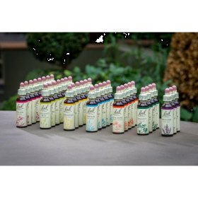 1 - Coffret de Noël 38 fleurs de Bach Original 20 ml. Offerts: 1 livre, 1 bloc conseil, 1 flacon 30 ml Bach Original Nelsons 2 -