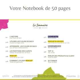 Pack Noël Coffret plein Bach Original 20 ml. Offerts: 1 livre, 1 bloc conseil, 1 flacon pour mélange compte-gouttes 30 ml Bach O