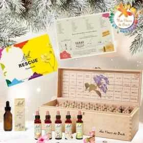 Pack Noël Coffret plein Bach Original 20 ml. Offerts: 1 livre, 1 bloc conseil, 1 flacon pour mélange compte-gouttes 30 ml Bach O