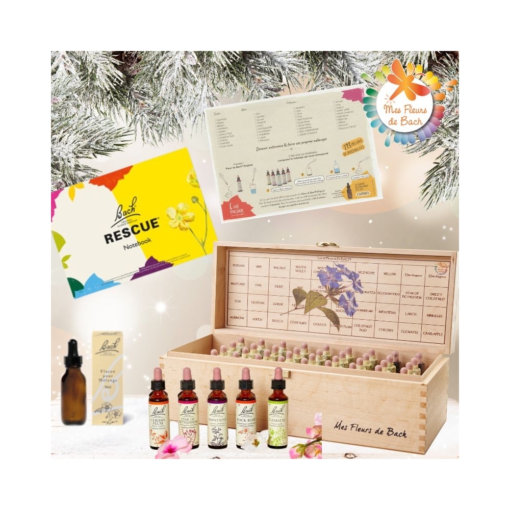 Pack Noël Coffret plein Bach Original 20 ml. Offerts: 1 livre, 1 bloc conseil, 1 flacon pour mélange compte-gouttes 30 ml Bach O