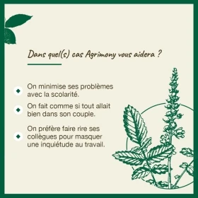 Agrimony fleurs de Bach Original 20 ml (Aigremoine) Bach Original Nelsons 4 - mesfleursdebach.com 