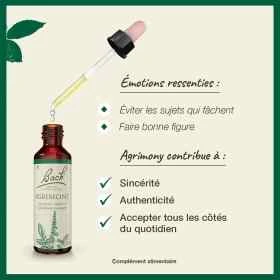 Agrimony fleurs de Bach Original 20 ml (Aigremoine) Bach Original Nelsons 3 - mesfleursdebach.com 