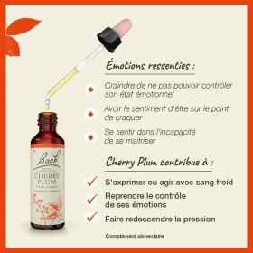 Cherry Plum fleurs de Bach Original 20 ml (Prunier Myrobolan) Bach Original Nelsons 3 - mesfleursdebach.com 