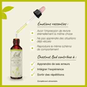 Chestnut Bud fleurs de Bach Original 20 ml (Bourgeon de Marronnier) Bach Original Nelsons 3 - mesfleursdebach.com 