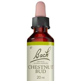 Chestnut Bud fleurs de Bach Original 20 ml (Bourgeon de Marronnier) Bach Original Nelsons 5 - mesfleursdebach.com 