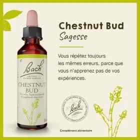 Chestnut Bud fleurs de Bach Original 20 ml (Bourgeon de Marronnier) Bach Original Nelsons 1 - mesfleursdebach.com 