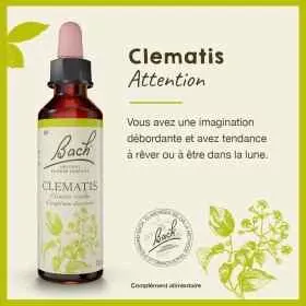 Clematis fleurs de Bach Original 20 ml (Clématite) Bach Original Nelsons 1 - mesfleursdebach.com 